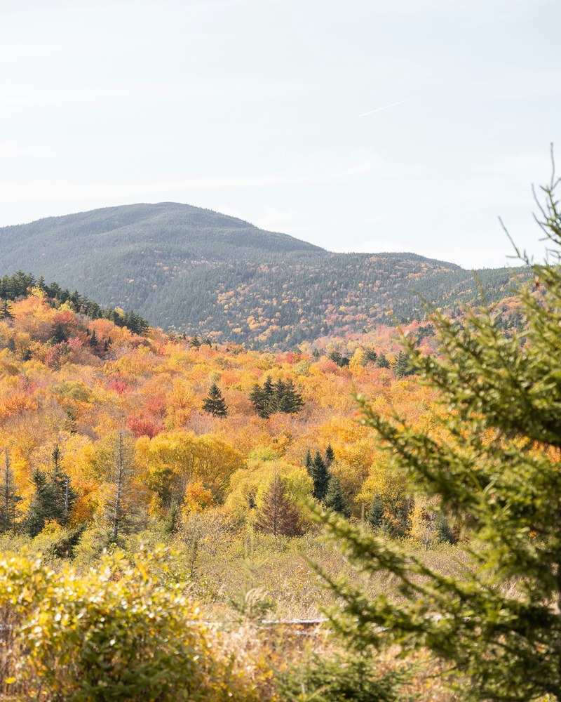 New Hampshire