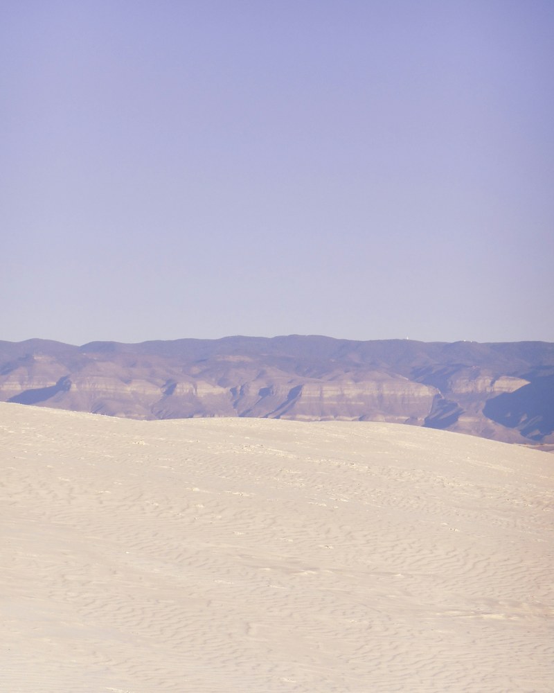 New Mexico